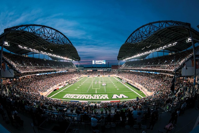 动的魅力 动的魅力