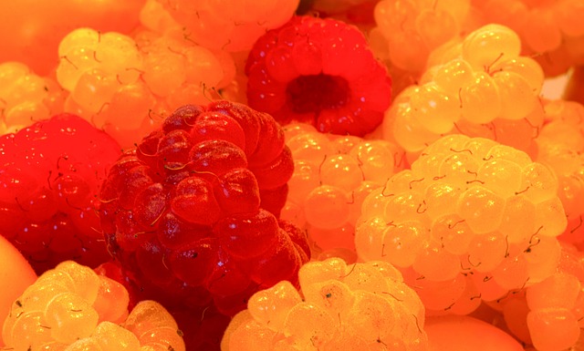 耐力和意志 耐力和意志