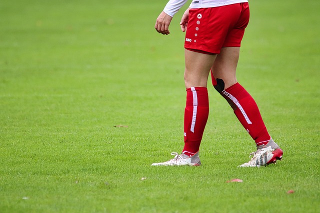 家马德里门 家马德里门