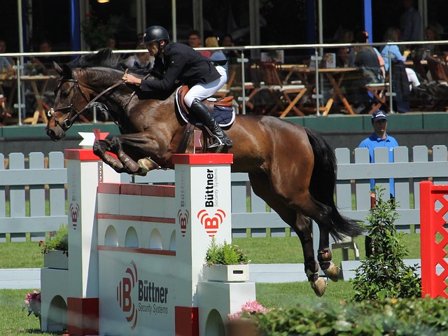 自由行的旅 自由行的旅