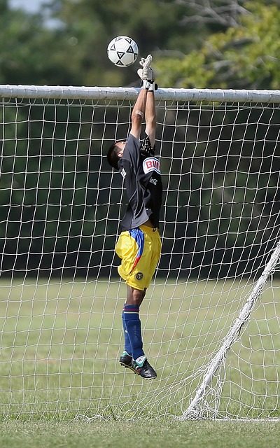 希望在不久 希望在不久