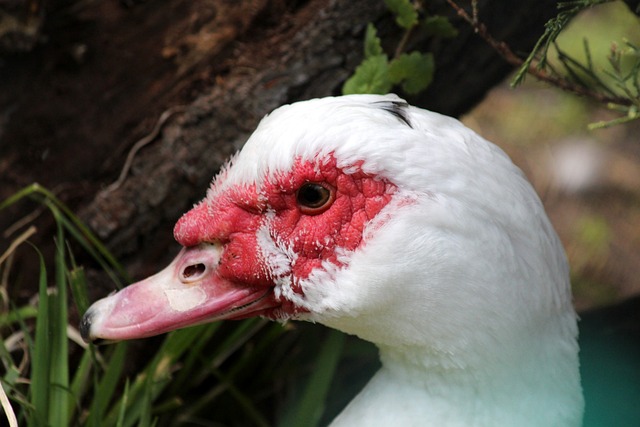 中汲取力量 中汲取力量