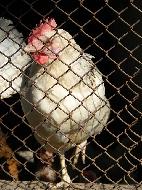 动健康生活 动健康生活